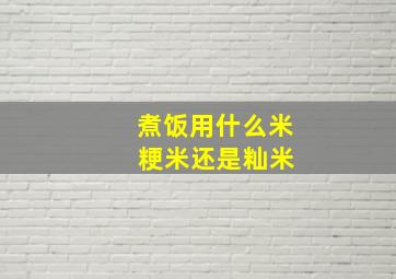 煮饭用什么米 粳米还是籼米